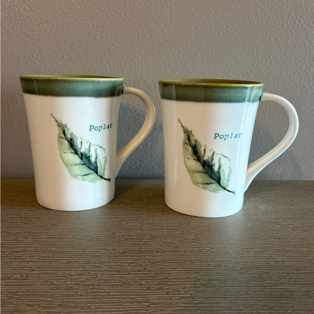 Starbucks Poplar white and Green Mug set of 2